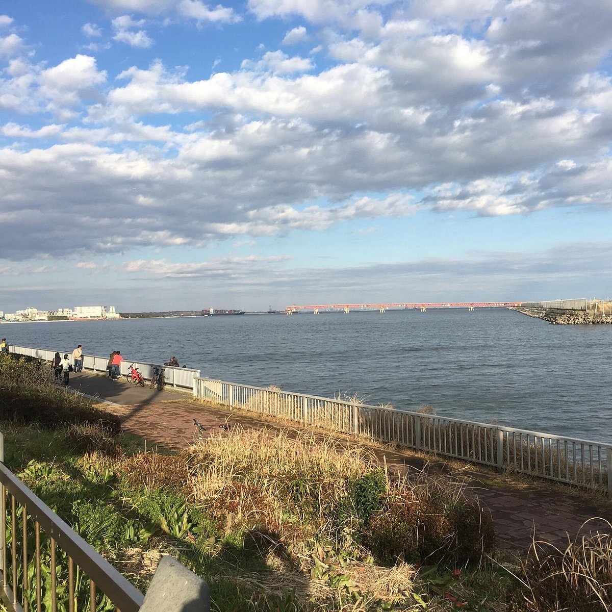 ✈️ 게이힌지마 쓰바사 공원 이미지 4